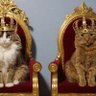 Фото профиля Mr. Filo
