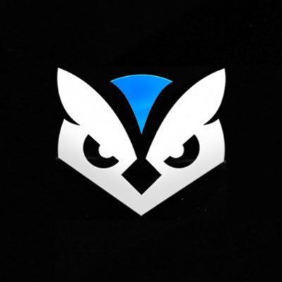 cozysect's profile picture