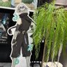 Фото профиля ちま