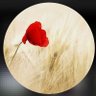 ⭐️'s profile picture