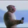 aparjey profil fotoğrafı