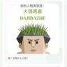 葡萄柚子 的头像