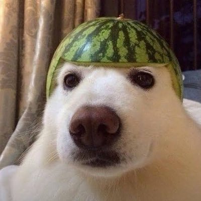 water_me10n_'s profile picture