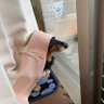 まる 的头像