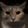 Adrian.'s profile picture