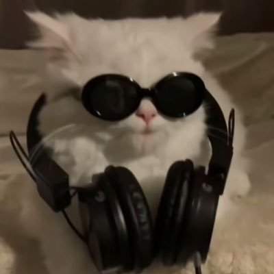 둡's profile picture