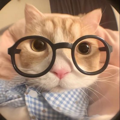 ອ້າຍ ໂຄ໊ຍໃຫຍ່😁's profile picture