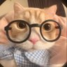 ອ້າຍ ໂຄ໊ຍໃຫຍ່😁's profile picture