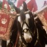 Bob. South Coast.'s profile picture