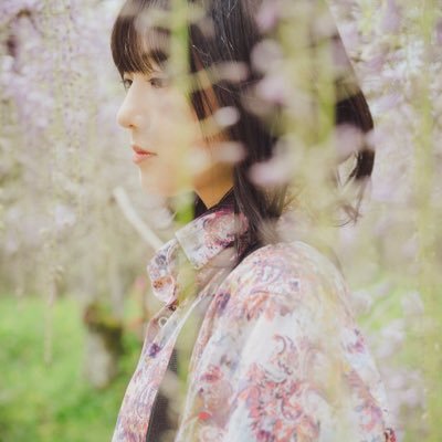 呆呆's profile picture