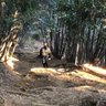 TAIGA profil fotoğrafı