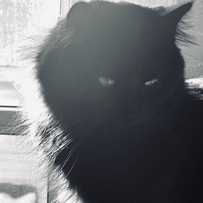 宙's profile picture