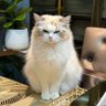 wawaaaa profil fotoğrafı