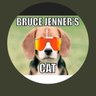forever mom ✝️🇺🇸🐶's profile picture