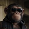 Exolorian's profile picture