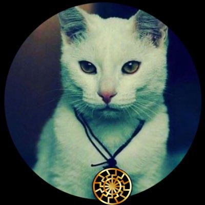 Odiolezecche's profile picture