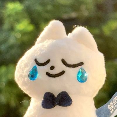 小春☀️'s profile picture