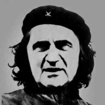 Şenoltapar ☭ 🚩's profile picture