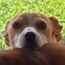 lee david's profile picture