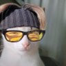alix :p's profile picture