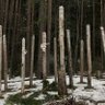 jukka-matti virtanen 的头像