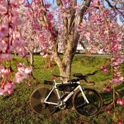 ～MiYa～'s profile picture