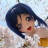 Profilbild von こぐぷー🍙🐬