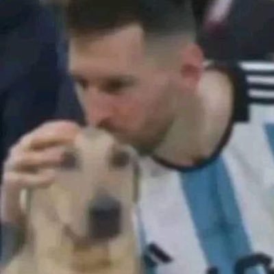 ToxingoVT's profile picture