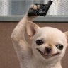 Profilbild von Mr Wise