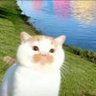 好大一只羊 profil fotoğrafı