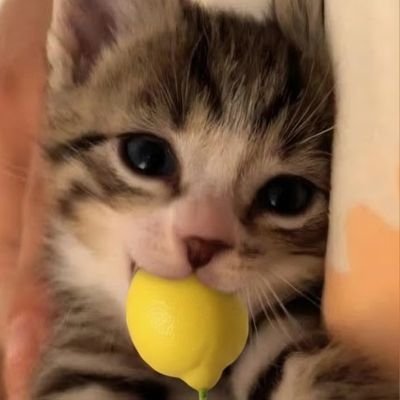 KWGN4gwo's profile picture