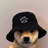 Mercitrade 的头像