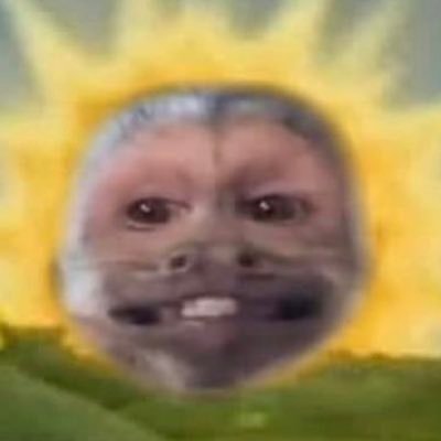 Curate Ven's profile picture