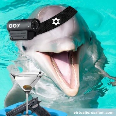 #EBluemountain1 🇮🇱's profile picture
