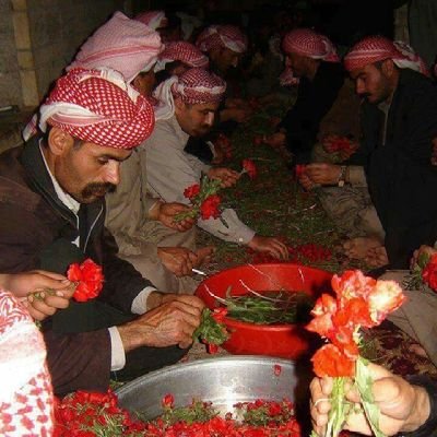 Egîd's profile picture