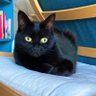 🫏Sarah Lazy Donkey Dalton🍸🫏 profil fotoğrafı