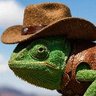 Profilbild von Cam The Chameleon