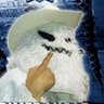 CeaturArmenta ⛈️'s profile picture