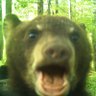 fish.'s profile picture