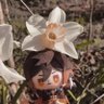 Profilbild von 🪼Tsukuyomi🪐vgen open|🧡💙
