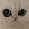 Profilbild von Сало Печали