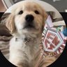Profilbild von altaygoty