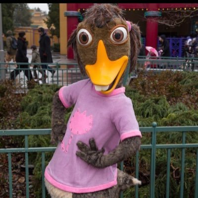 alejandro 🇵🇷🌺's profile picture