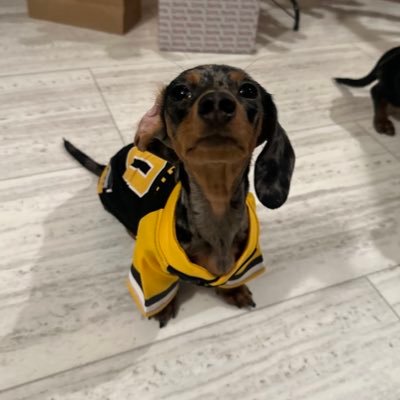 ego's profile picture