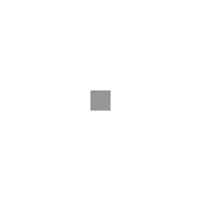 Han Saglam's profile picture