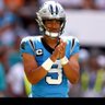 Panthers,Warriors,Hornets, FSU FB 的头像