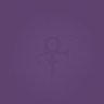 IBelongToPrince 💜's profile picture