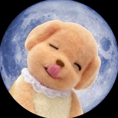 꿀파이🍯byul ⁷ REST's profile picture
