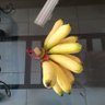 tumirah tumirah 的头像