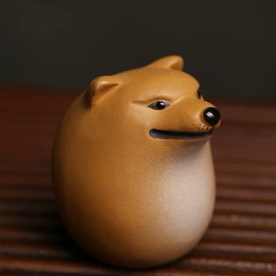 xgd66688's profile picture
